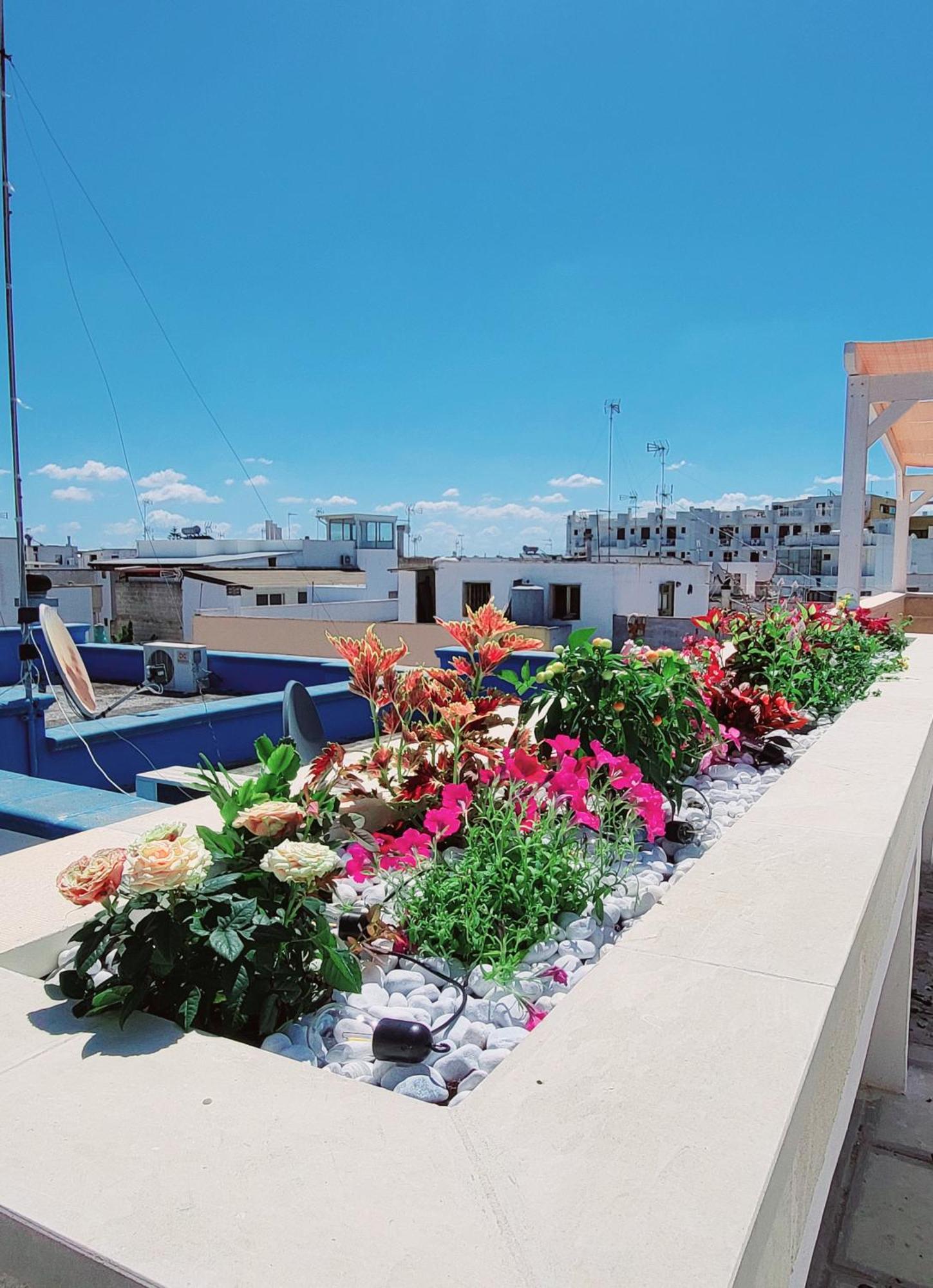 Aquamarina Rooms Porto Cesareo Dış mekan fotoğraf