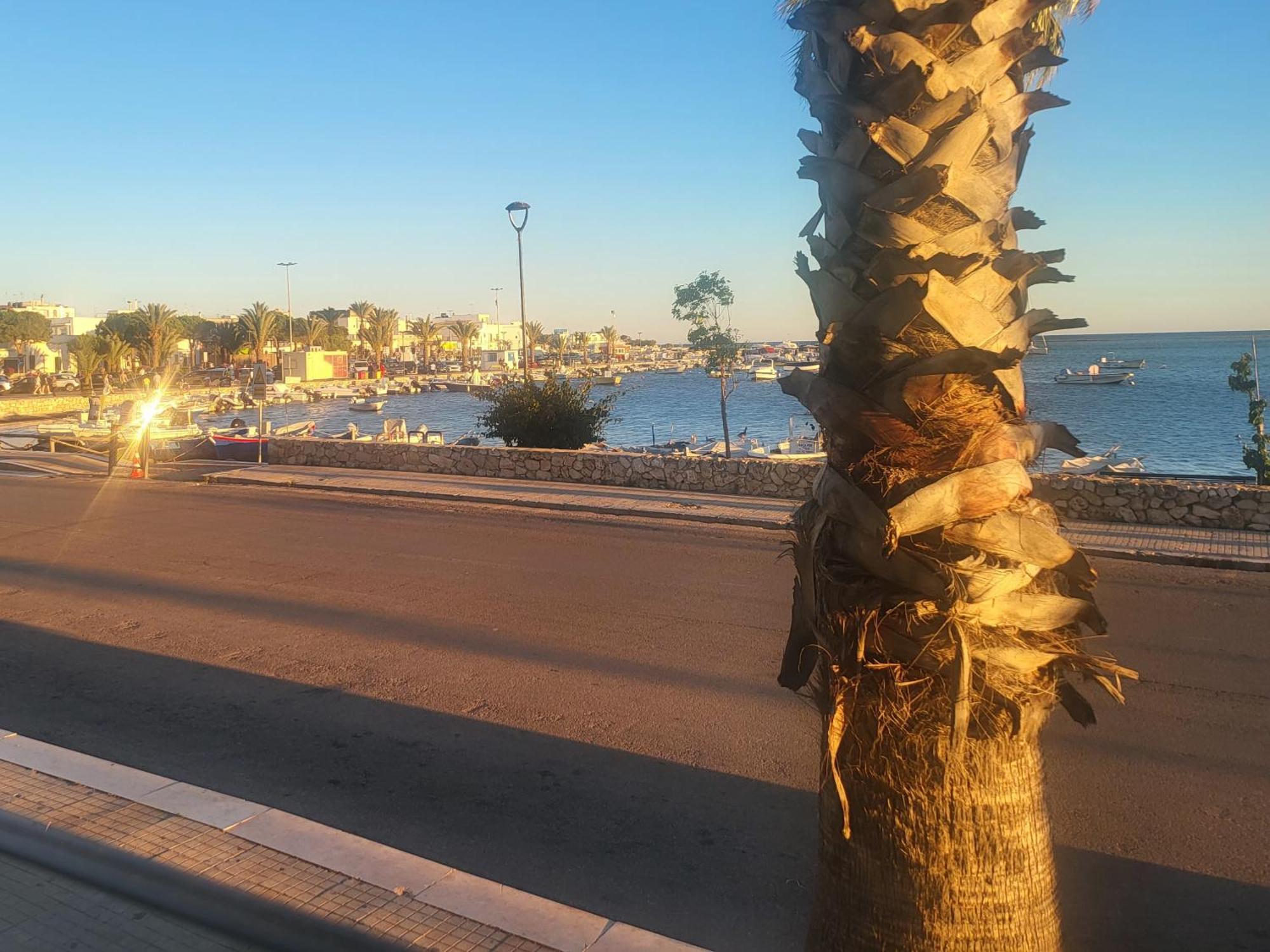 Aquamarina Rooms Porto Cesareo Dış mekan fotoğraf